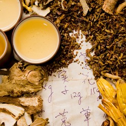 Chinese Herbal Medicine